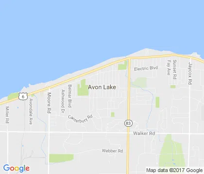 logo-image - avon-lake-oh